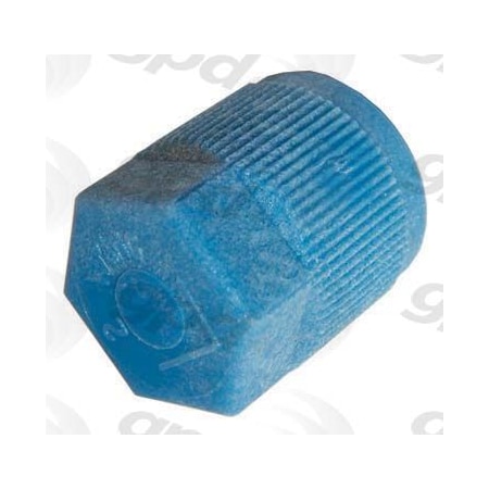 Gpd A/C Service Cap, 5811369 5811369